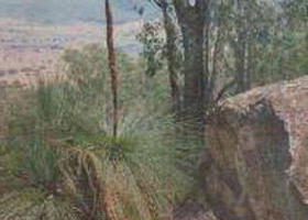 Burrowye VIC Mackay Tourism
