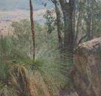 Mount Lawson State Park - Mackay Tourism