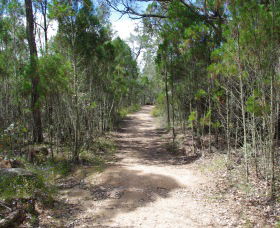 Goonoowigall State Conservation Area - Mackay Tourism 1