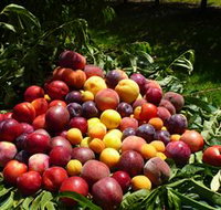 Rayner's Orchard - Mackay Tourism