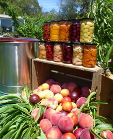 Rayner's Orchard - Mackay Tourism 8