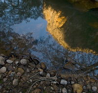 Abercrombie Karst Conservation Reserve - Mackay Tourism
