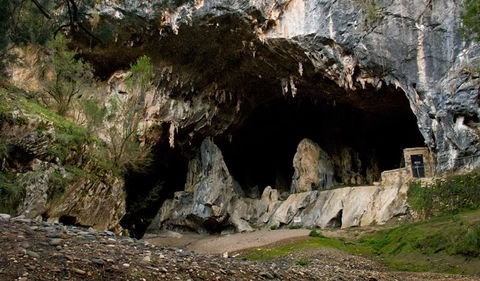 Abercrombie Karst Conservation Reserve - Mackay Tourism 3