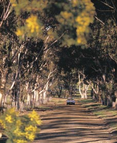 Malyalling ACT Mackay Tourism