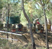 7 Oaks Sapphire Fossicking - Mackay Tourism
