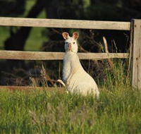 Panorama Garden Estate - Mackay Tourism