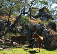 Coomba Falls - Mackay Tourism