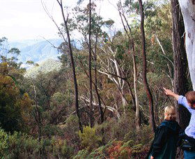 Hume And Hovell Walking Track - Mackay Tourism 5