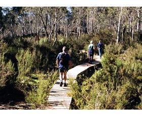 Hume And Hovell Walking Track - Henry Angel Trackhead - Mackay Tourism 0
