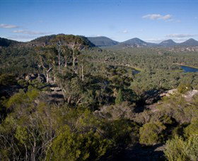 Dunns Swamp - Mackay Tourism 0