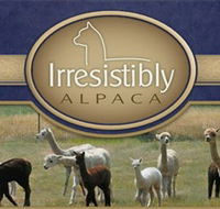 Marchmont Park Alpacas - Mackay Tourism