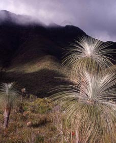 Bluff Knoll, Stirling Range National Park - Mackay Tourism 3