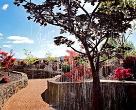 The Water Garden At Mayfield Garden - Mackay Tourism 2