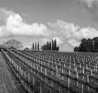 Willow Creek Vineyard - Mackay Tourism