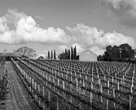 Willow Creek Vineyard - Mackay Tourism 0