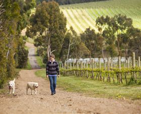 Willow Creek Vineyard - Mackay Tourism 1