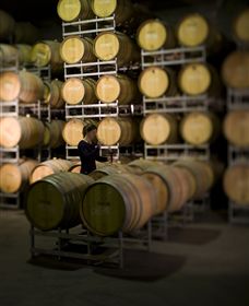 Willow Creek Vineyard - Mackay Tourism 2