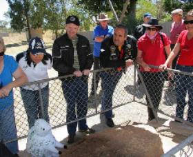 Fossil Rock - Mackay Tourism 0