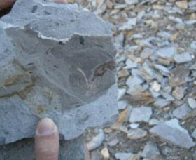 Fossil Rock - Mackay Tourism 1