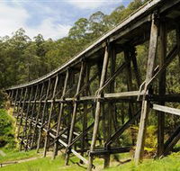 Noojee Trestle Bridge - Mackay Tourism