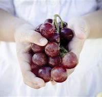 Granitevale  Estate Winery - Mackay Tourism
