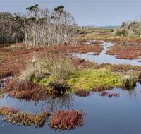 French Island National Park - Mackay Tourism
