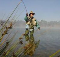 Lake Wallace - Mackay Tourism
