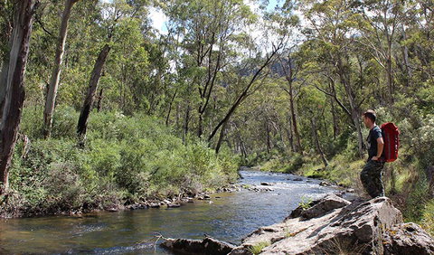 Yarrangobilly Caves - Mackay Tourism 1