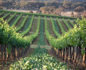 Two Rivers Wines - Mackay Tourism 1