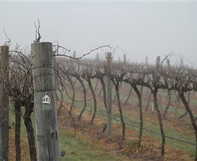Small Forest Wine - Mackay Tourism 1