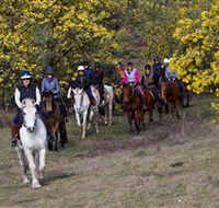 Burnelee Excursions on Horseback - Mackay Tourism