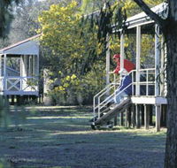Dryandra Woodland - Mackay Tourism