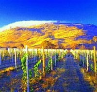 Surveyors Hill Winery - Mackay Tourism