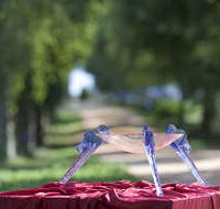 Lillico Glass Studio - Mackay Tourism