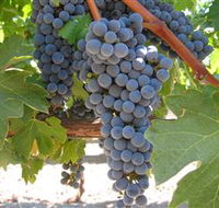Joshuas Fault Wine - Mackay Tourism