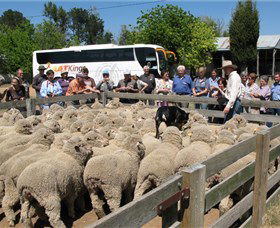 Merbein South ACT Mackay Tourism