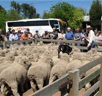 Gold Creek Station - Mackay Tourism