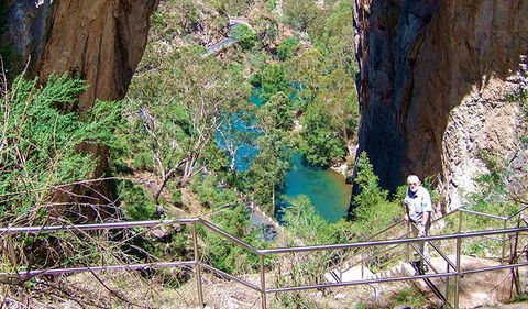 Carlotta Arch Walking Track - Mackay Tourism 0