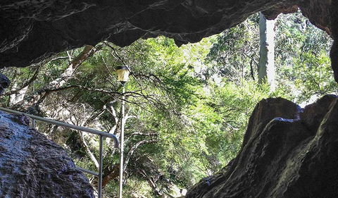 Carlotta Arch Walking Track - Mackay Tourism 1