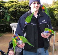 Canberra Walk In Aviary - Mackay Tourism