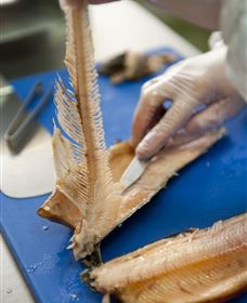 Arc-en-Ciel Trout Farm - Mackay Tourism 2