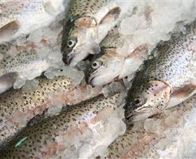Arc-en-Ciel Trout Farm - Mackay Tourism 3