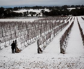 Savina Lane Premum Wines - Mackay Tourism 2