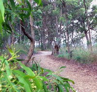 Mount Mutton Walking Trail - Mackay Tourism