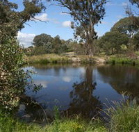 Cooleman Ridge - Mackay Tourism
