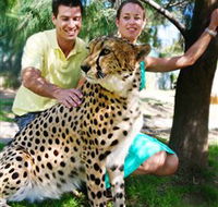National Zoo  Aquarium - Mackay Tourism