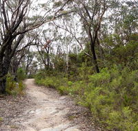 Six Foot walking track - Mackay Tourism