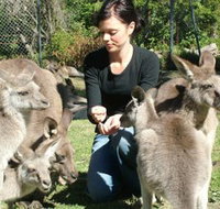 Canons Shuttles Day Tours - Mackay Tourism