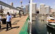 All Sydney Touring - thumb 6