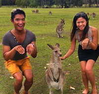 Runaway Tours - Mackay Tourism